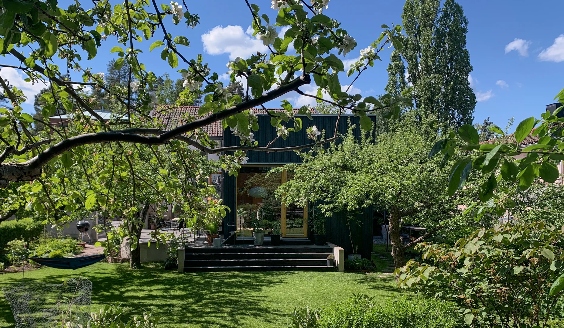 Gräs för villaträdgård En grönskande trädgård med träd och buskar omger ett modernt hus med stora glasdörrar. Solljuset filtreras genom grenarna och kastar skuggor på gräsmattan, med en hängmatta synlig på vänster sida.