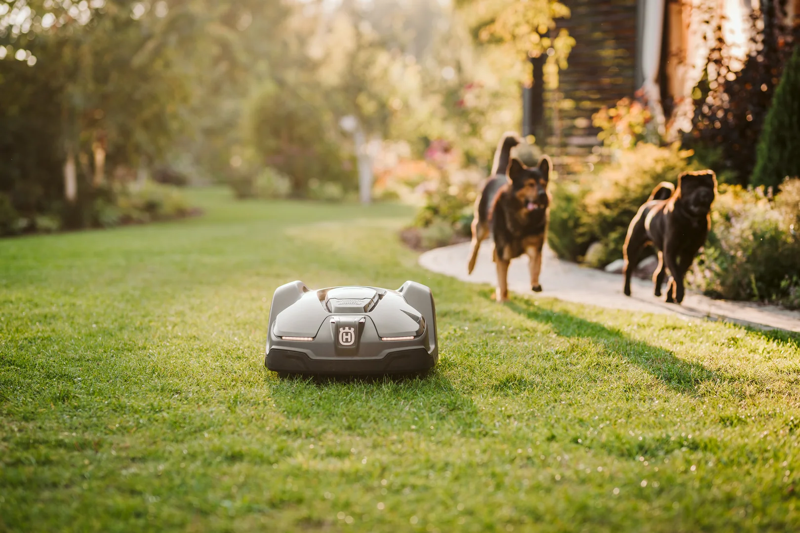 Hjälpså En robotgräsklippare rör sig över en gräsmatta medan två hundar springer längs en stig i närheten i en trädgård med träd och blommor i bakgrunden.