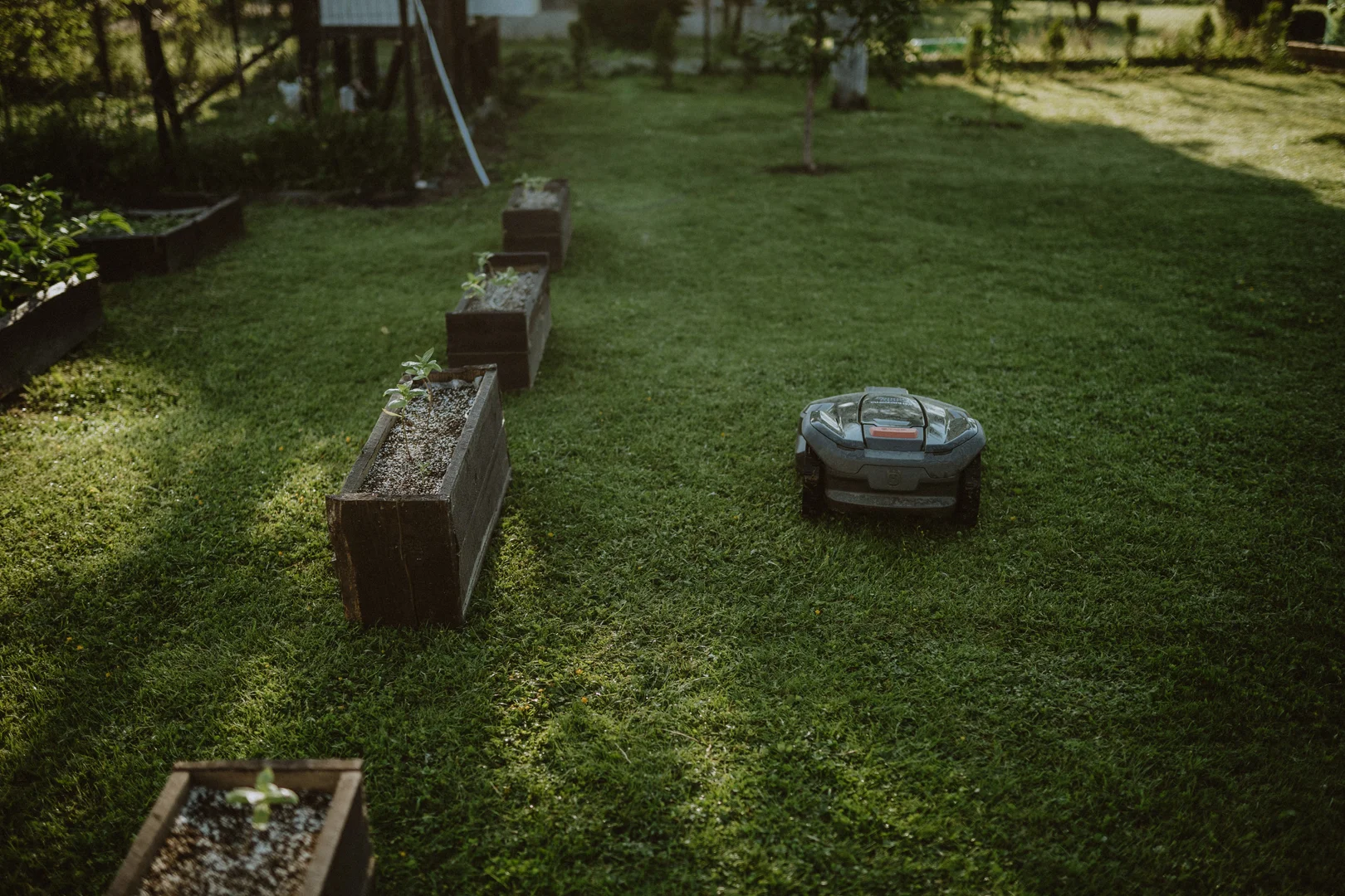 Gräs i villaträdgård En robotgräsklippare arbetar på en gräsmatta som kantas av upphöjda trädgårdsbäddar av trä, med träd och grönska i bakgrunden.
